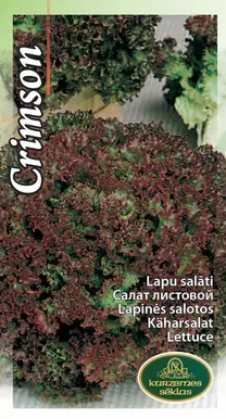 KÖÖGIVILJASEEMNED KURZEMES SEKLAS SALAT LOLLO ROSSA 1G