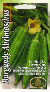 KÖÖGIVILJASEEMNED KURZEMES SEKLAS OKRA 1G