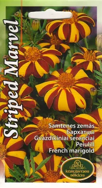 LILLESEEMNED KURZEMES SEKLAS PEIULILL STRIPED 0,3G