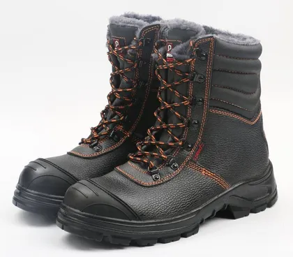 TALVETURVASAAPAD BS659 S3 SRC 45