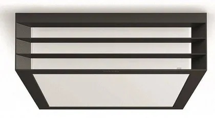 AIAVALGUSTI PHILIPS MOONSHINE ANTRATSIIT LED IP44