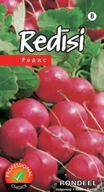 SEEMNED KURZEMES SEKLAS REDIS 'RONDEEL' PUNANE 3G