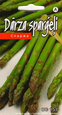 SEEMNED KURZEMES SEKLAS SPARGEL 'UC 157' 2G
