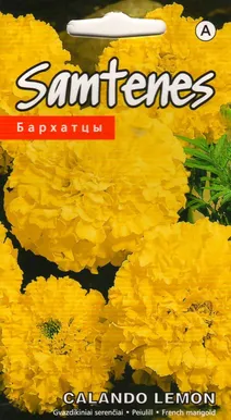 LILLESEEMNED KURZEMES SEKLAS PEIULILL 'CALANDO LEMON' KOLLANE TÄIDISÕIELINE