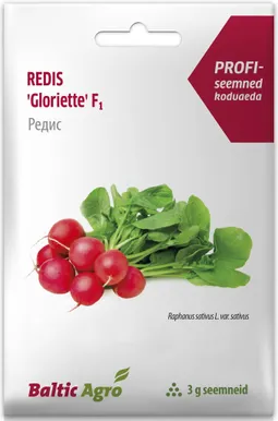 SEEMNED BALTIC AGRO REDIS "GLORIETTE" F1 SUUR KERAJAS 3G