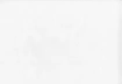 ALUSFLIIS VÄRVITAV SINTRA BASICVLIES 699997 1,06X25M