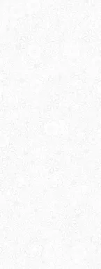 SEINAPANEEL VILO PVC 250X2650MM DAISY 2,65M² PAKIS