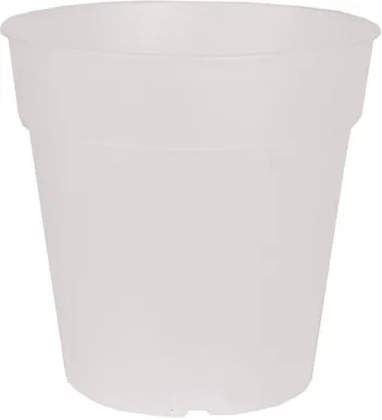 ISTUTUSPOTT ORHIDEELE ARTEVASI MADAGASCAR TO GROW 13CM LÄBIPAISTEV