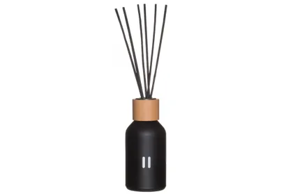 ÕHUVÄRSKENDAJA RENTO ARKTILINE MÄND 100ML