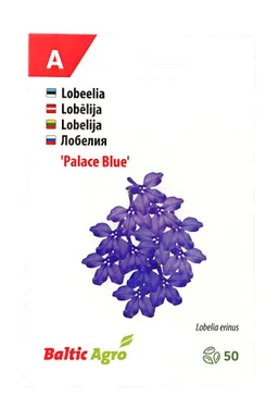 SEEMNED BALTIC AGRO LOBEELIA 'BLUE PALACE' SININE, 50 PILLI