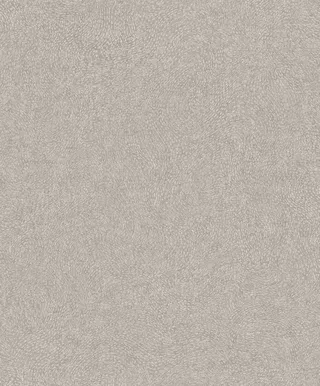 TAPEET GRANDECO SANTIAGO A67003 0,53X10,05M