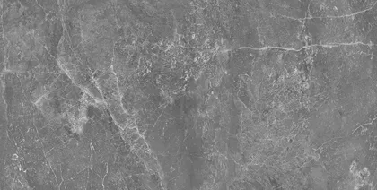 SEINAPLAAT PRISSMACER ESS AUREA GRIS GLOSSY 25X50CM