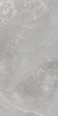 PÕRANDA- JA SEINAPLAAT AZUMA ROMERO GRIS MATT 60X120CM 1,44M² PAKIS