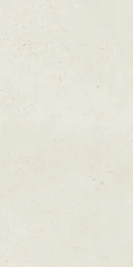 SEINAPLAAT PARADYZ FUENTES GRYS SCIANA REKT. MAT. 29,8X59,8CM