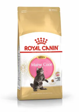 KUIVTOIT ROYAL CANIN KASSIPOJALE MAINE COON 2KG