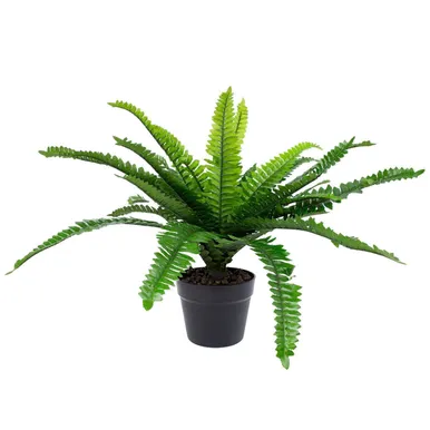 KUNSTTAIM BOSTON FERN H60CM