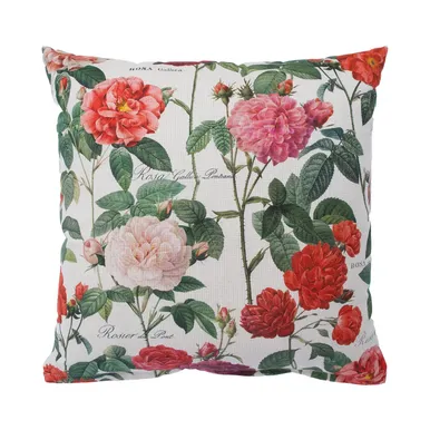 PADI HOLLY 45X45CM, ROOSIAED