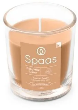 LÕHNASTATUD KÜÜNAL SPAAS KLAASIS LÄBIPAISTEV 25H KOOKOS-VIIGIPUU