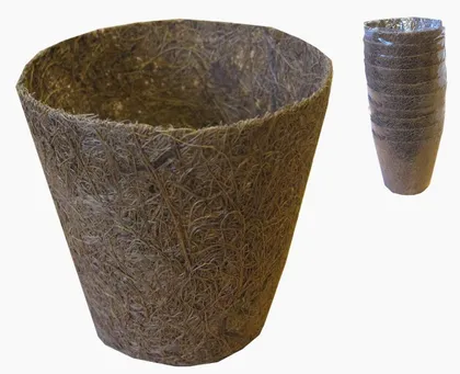 ISTIKUPOTID SOTKA COCO 8CM 10TK