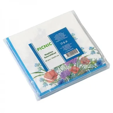 SALVRÄTIKUD PICNIC SUVELILLED 33X33CM 20TK/PK