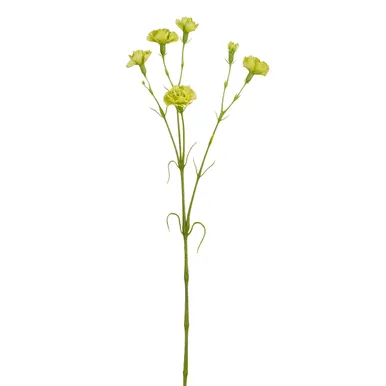 KUNSTLILL MICA DECORATIONS NELK 66CM ROHELINE