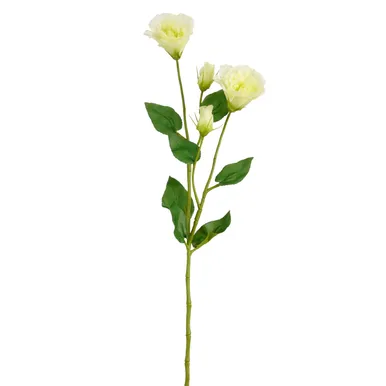 KUNSTLILL MICA DECORATIONS PREERIAKELL 72CM ROHELINE