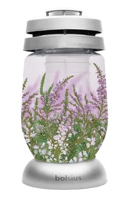 KALMUKÜÜNAL KLAASIS BOLSIUS 36H, KANARBIK