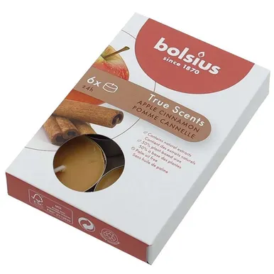 LÕHNA-TEEKÜÜNAL BOLSIUS 4H, ÕUN/KANEEL 6TK PAKIS