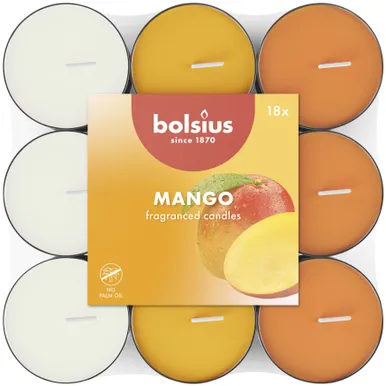 LÕHNA-TEEKÜÜNAL BOLSIUS 3,5H, MANGO 18TK PAKIS