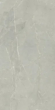 SEINAPLAAT FILLSTONE GREY MAT 29,8X59,8CM 1,6M² PAKIS