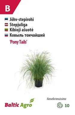 STEPIROHI BALTIC AGRO "PONY TAILS"