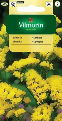 PARKJUUR KOLLANE LIMONIUM SIN.