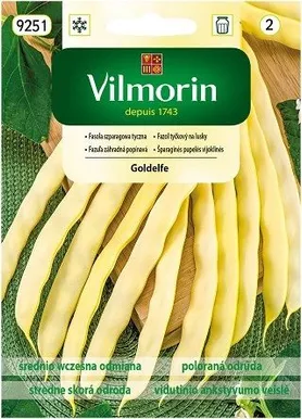 AEDUBA KOLLANE GOLDELFE PHASEOLUS VULGARIS