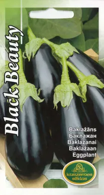 KABATŠOKK BLACK BEAUTY 2G