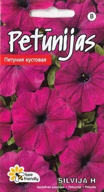 PETUUNIA SILVIJA H 15 SEEMET