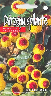 HARILIK NÖÖPKAKAR EHK PARAKRESS PURPUREA BULLS AYE 0,1G