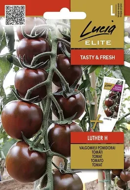 TOMAT SEKLOS LUTHER H, PAKIS 10 SEEMET