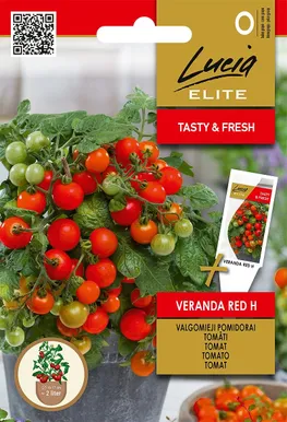 TOMAT SEKLOS VERANDA RED H, PAKIS 10 SEEMET