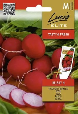 REDIS SEKLOS BELSAY H 3G