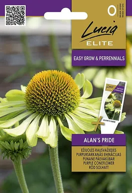 PÄEVAKÜBAR SEKLOS ALAN'S PRIDE, PAKIS 15 SEEMET