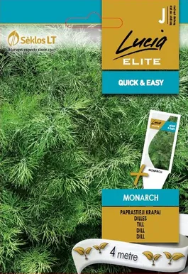 TILL SEKLOS MONARCH, PAKIS 4 MEETRIT SEEMNELINTI