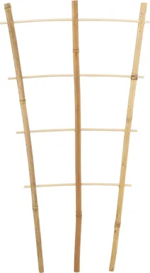 TAIMEDE REDEL BAMBUSEST 46X24X1CM 3TK PAKIS