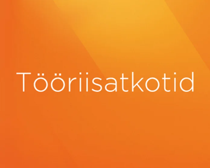 Kategooria pilt: Tööriisatkotid