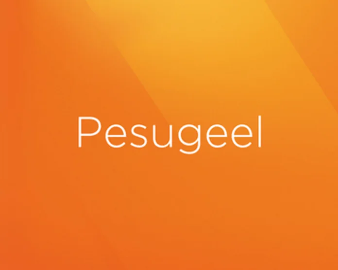 Kategooria pilt: Pesugeel