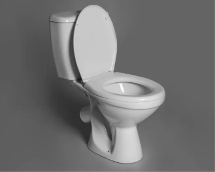 Kategooria pilt: Wc potid