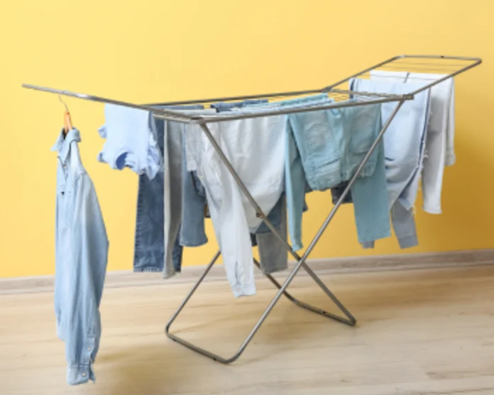 Kategooria pilt: Pesupesemine