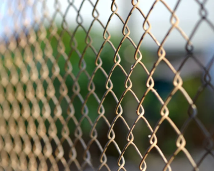 Kategooria pilt: Võrkaiad ja loomapiirded