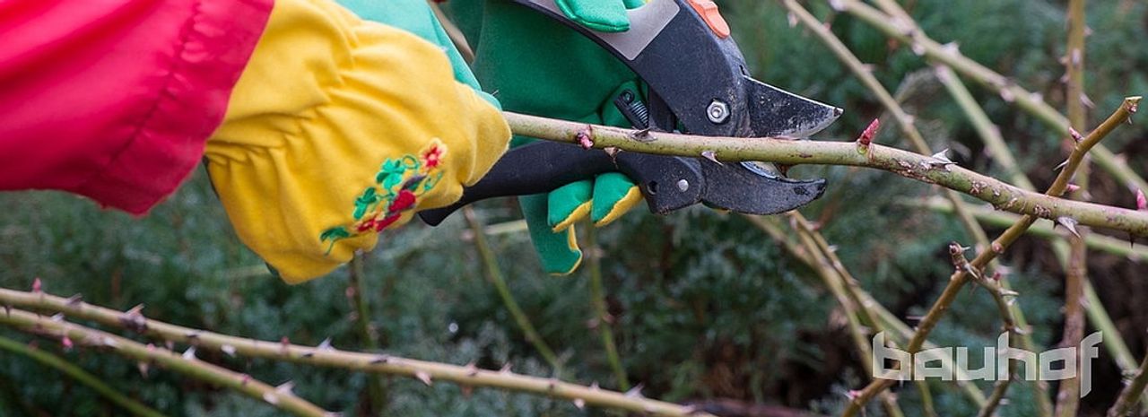 Novembri aiatööde meelespea