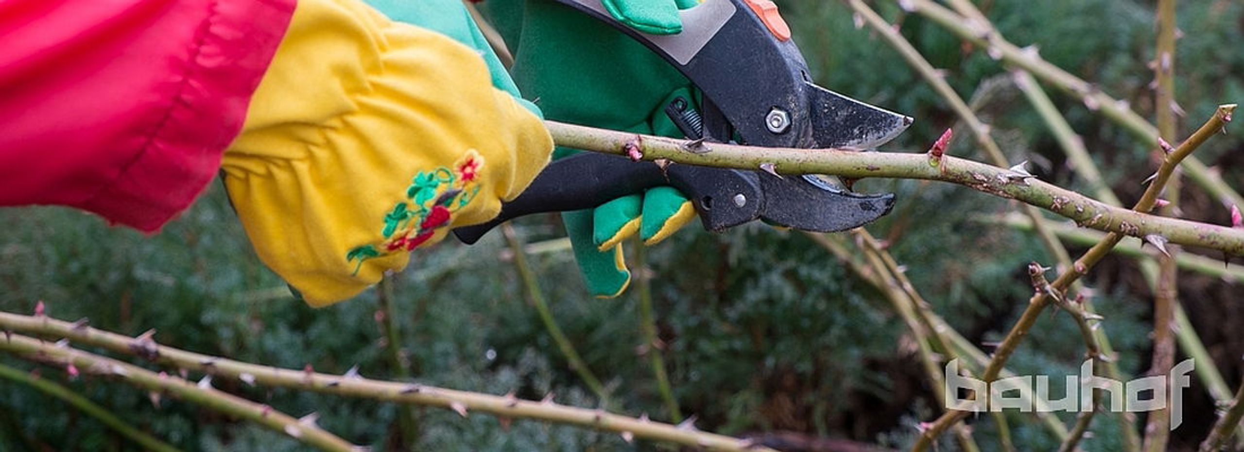 Novembri aiatööde meelespea